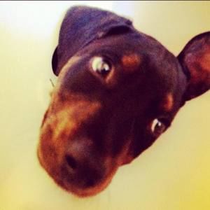 Meet your Posher, Jie